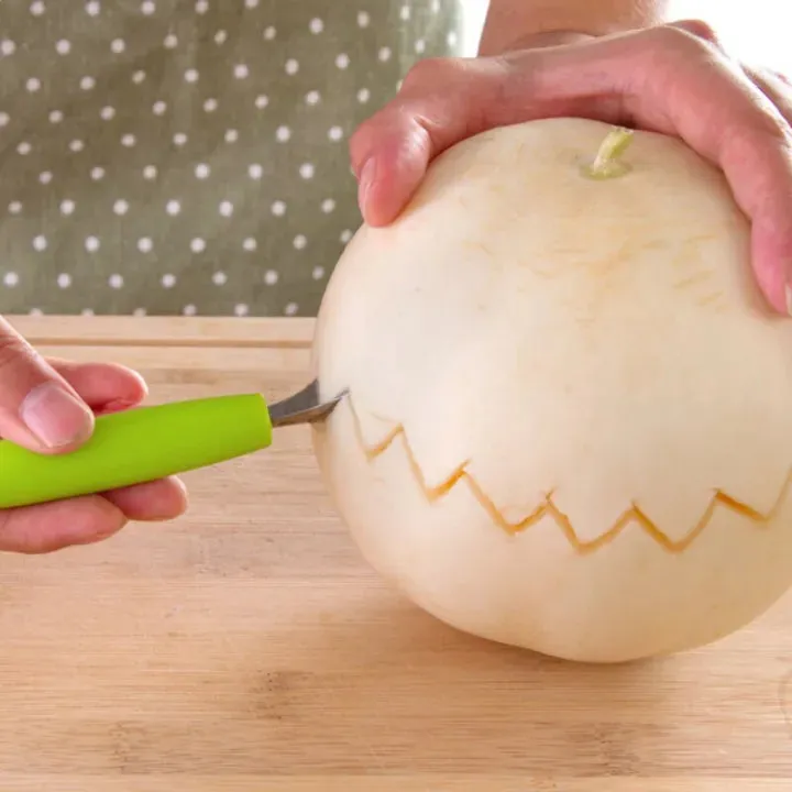 Fruit Slicer Tool Set – Melon Spoon & Carving Knife — photo 2